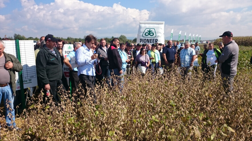 Od sljedeće godine tri visokorodne sorte soje