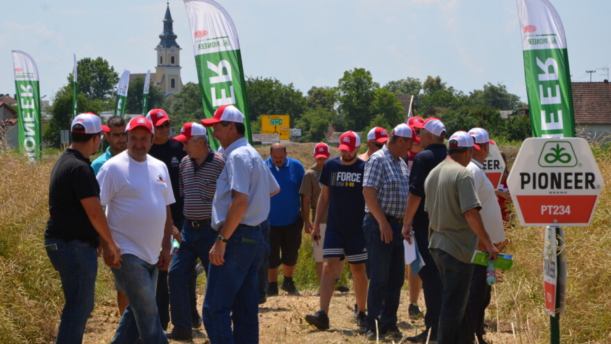 I dalje rastu površine pod uljanom repicom, Pioneer ove godine nudi dva nova hibrida PT271 i PT264