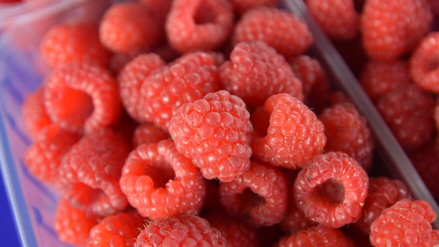 Još ima svežih malina za prodaju, po kojoj ceni?