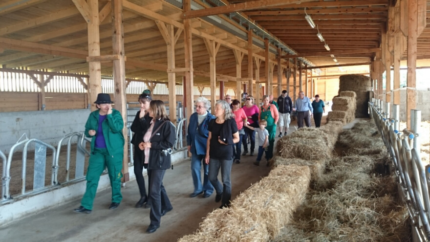 Na 70 ha otišli stepenicu iznad eko proizvodnje