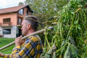 Eko edukacijska farma: U tjedan dana crowdfunding-a Greenville ostvario preko 30 posto