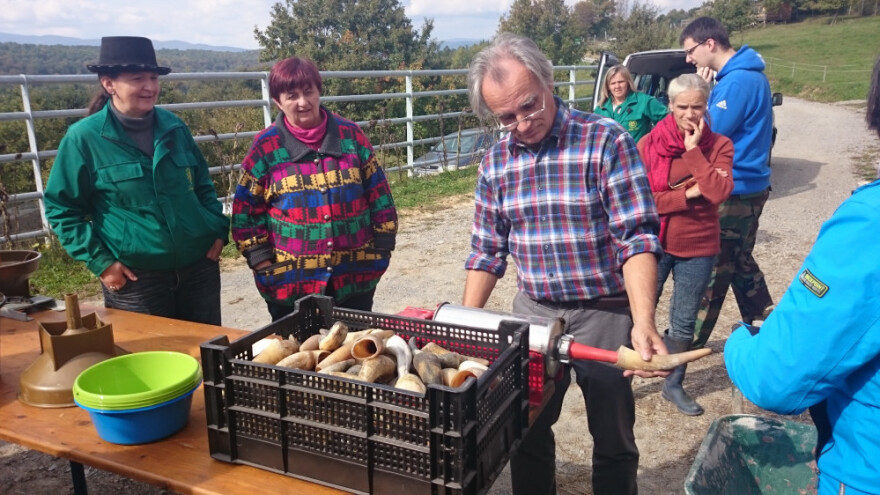 Kompost iz roga, pripravci iz kravlje lubanje?