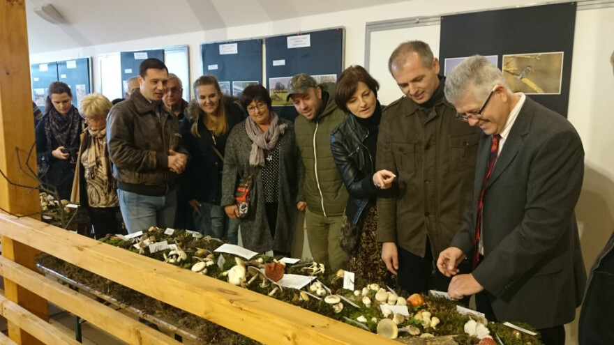 Šaptači gljivama u Lonjskom polju