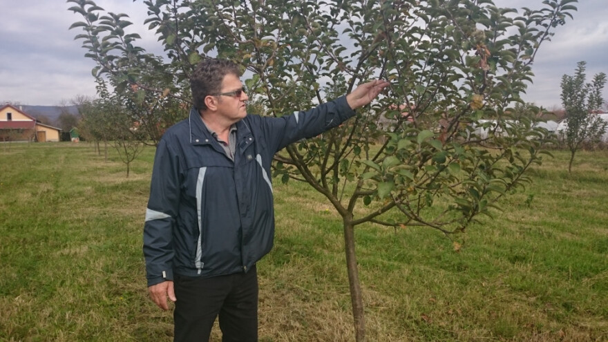 Odvjetnik koji budućnost vidi u eko proizvodnji