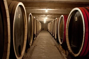 Završena prva faza obnove Kraljeve vinarije
