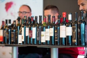 Preko 30 vrsta Crljenka i tradicijskih jela na uspješno održanom 3. Zinfestu