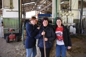 Farma obitelji Novak mliječna je farma godine!