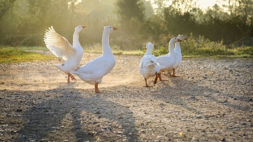 Stigla je prognoza: Do kada će trajati Miholjsko ljeto?