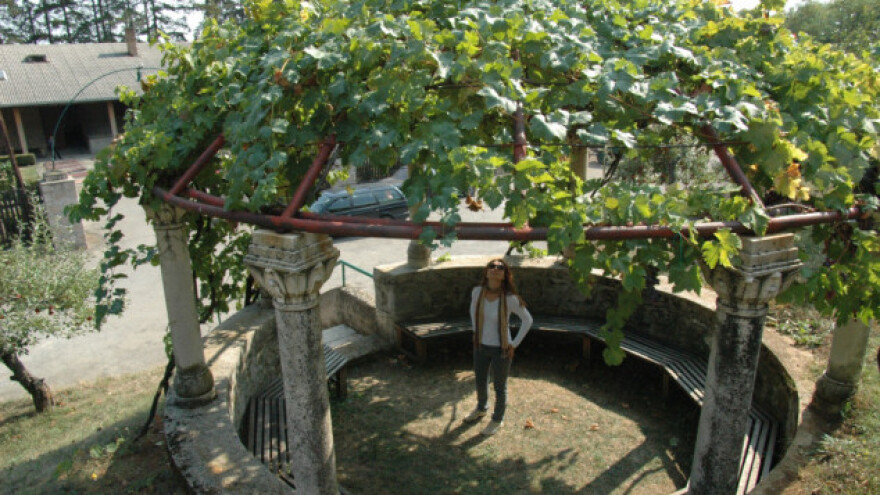 Od starog plastenika napravite pergolu!