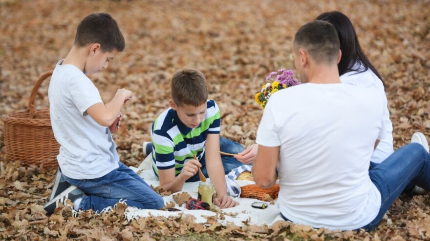 Stevanovići se više od dve decenije uspešno bave proizvodnjom meda