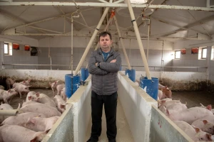 Mirko Kolić slavonski je svinjogojac čiju su kvalitetu prepoznali veliki trgovački lanci
