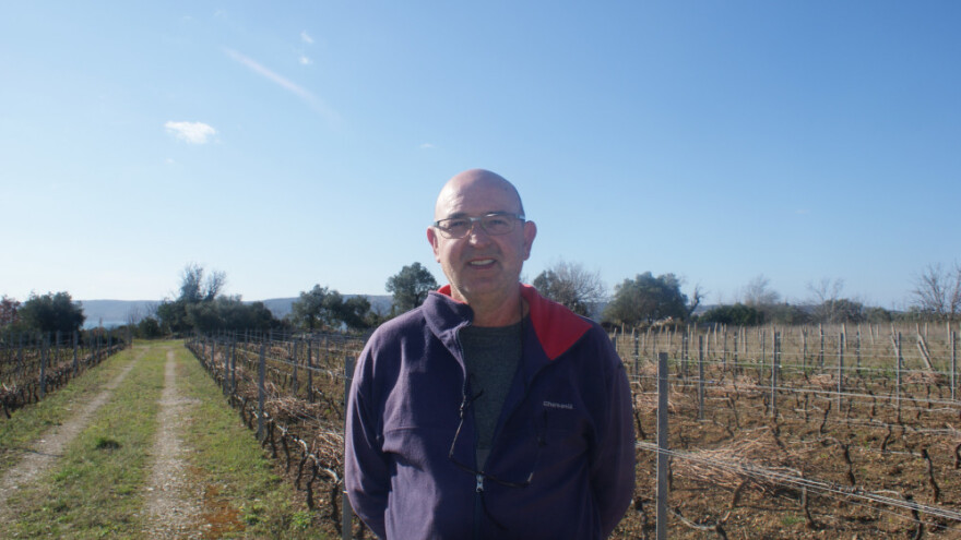 Vuina: Ne mogu nas zaustaviti jeftina uvozna vina