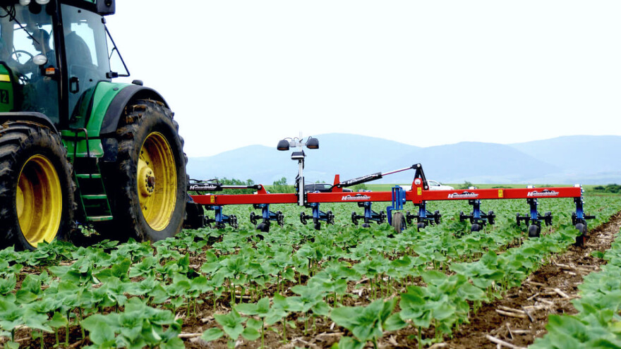Besprijekorna eliminacija korova u eko uzgoju okopavina bez oštećenja biljaka