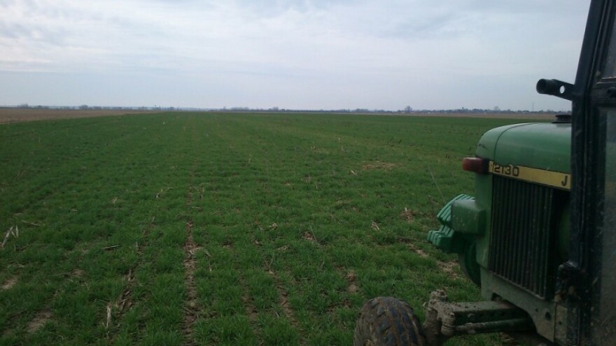 Ozime kulture trebaju prihranu