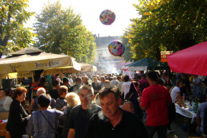 Kostajnička kestenijada proslavila 20. rođendan