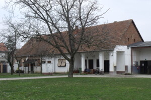 Zar stvarno mislimo da je spas sela u tome da svi ostanu i bave se samo poljoprivredom?