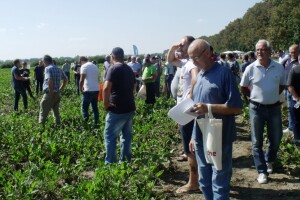 Šećerna repa izdržala klimatske nepogode i cerkosporu, u novu proizvodnu godinu s novom mehanizacijom