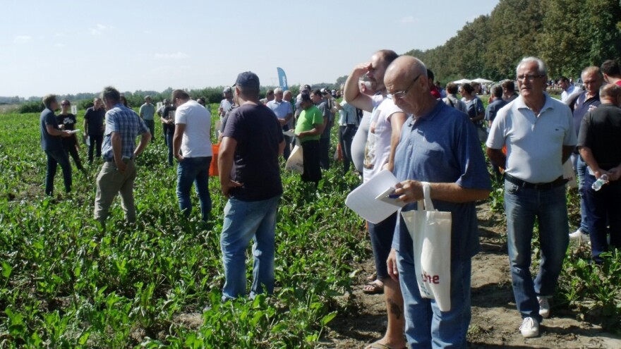 Šećerna repa izdržala klimatske nepogode i cerkosporu, u novu proizvodnu godinu s novom mehanizacijom