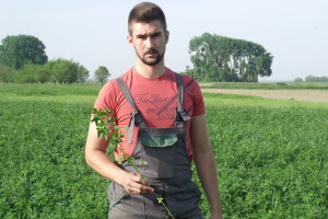 Igor Perić slučajno je ušao u eko proizvodnju lucerne, prinosi su manji, ali kad se nađe dobro tržište - isplati se