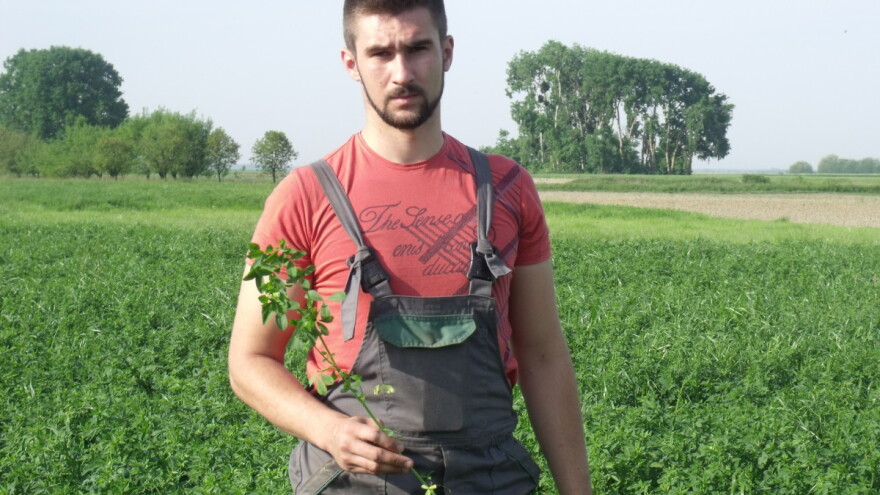 Igor Perić slučajno je ušao u eko proizvodnju lucerne, prinosi su manji, ali kad se nađe dobro tržište - isplati se