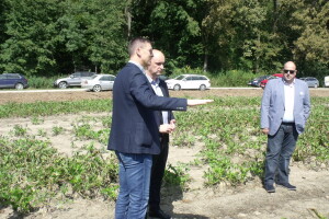 Spojene šećerane donose korist vlasnicima, no što je s proizvođačima šećerne repe?