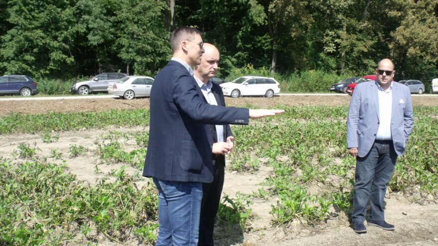 Spojene šećerane donose korist vlasnicima, no što je s proizvođačima šećerne repe?