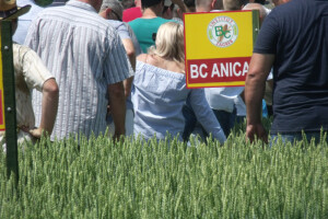 Bc Institut prezentirao adute za jesensku sjetvu