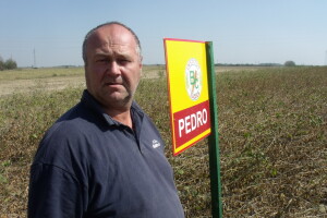 Neće snaša tamburaša, ali ni na poljoprivredne fakultete?