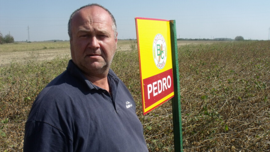 Neće snaša tamburaša, ali ni na poljoprivredne fakultete?