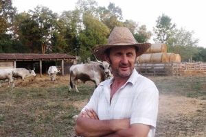 Slavonsko srijemski podolac - ljubav i strast Slukinih