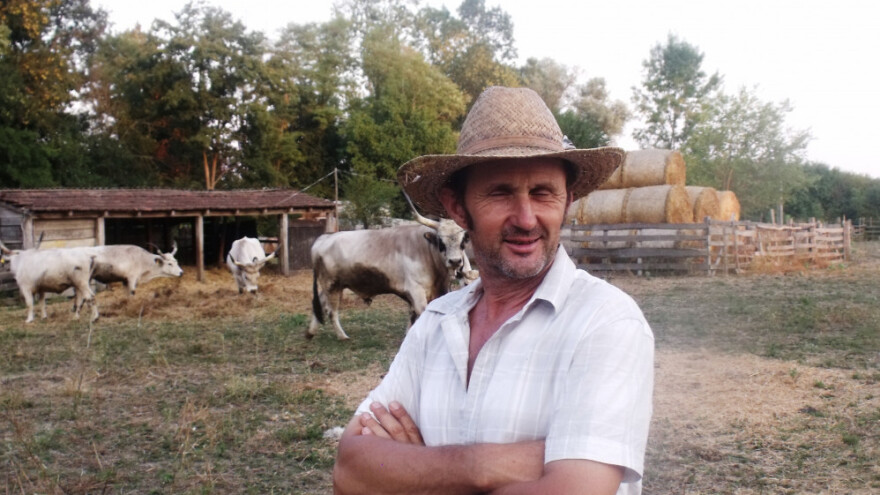 Slavonsko srijemski podolac - ljubav i strast Slukinih