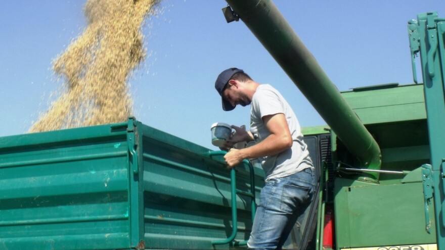 Pedro predvodnik odličnih prinosa soje iz Bc Instituta