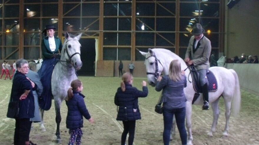 Briljantna predstava lipicanaca, jahačica i lovaca u đakovačkoj jahaoni za Dan sv. Huberta