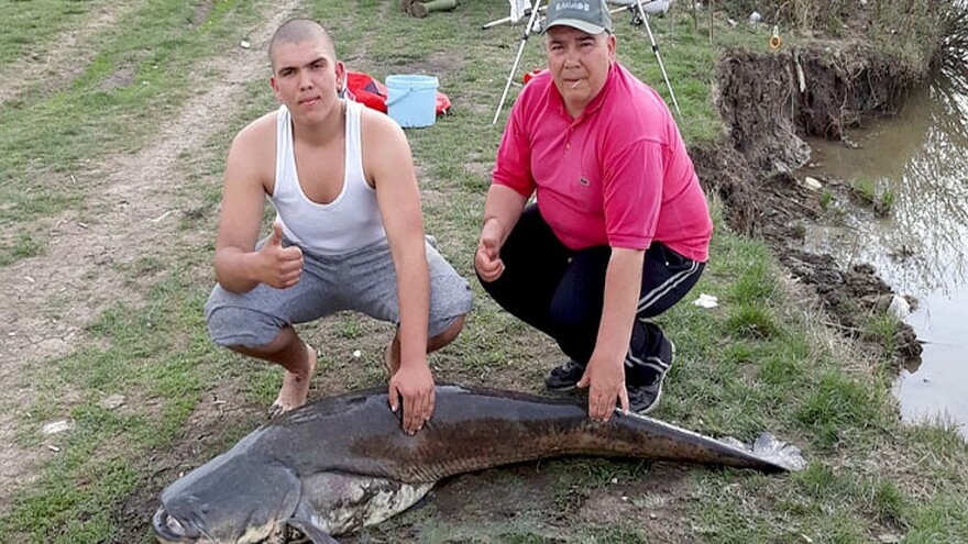 Ulovili soma od 61 kilograma - u želucu mu našli ribe i celu patku!