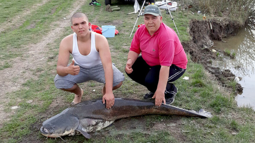 Ulovili soma od 61 kilograma - u želucu mu našli ribe i cijelu patku!