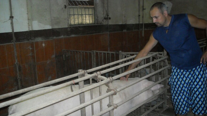 Dejan Lazić: Mala poljoprivredna gazdinstva mogu solidno da zarade