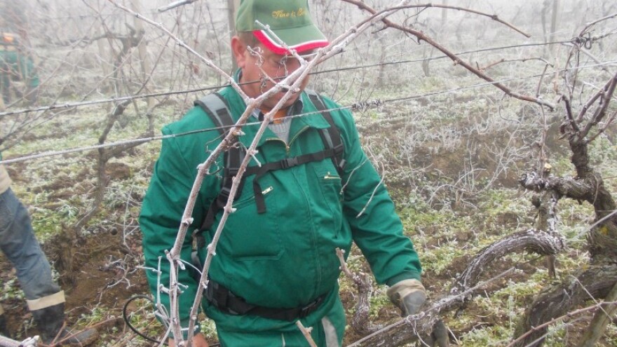 Čemu sva ta potpora?