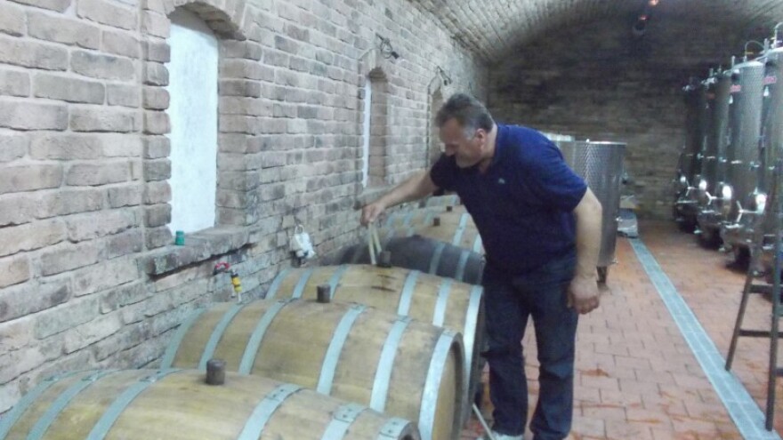 Lepršava i vitka vina s Malog brijega