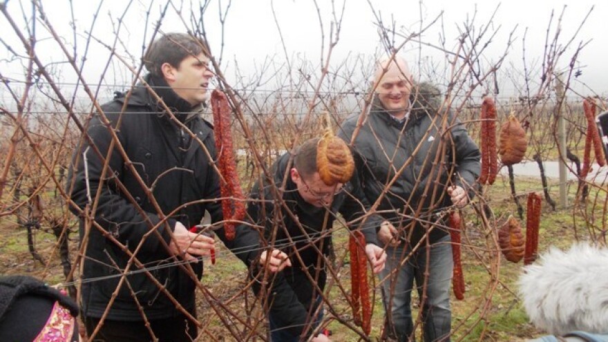 Vinceška u beljskim vinogradima!