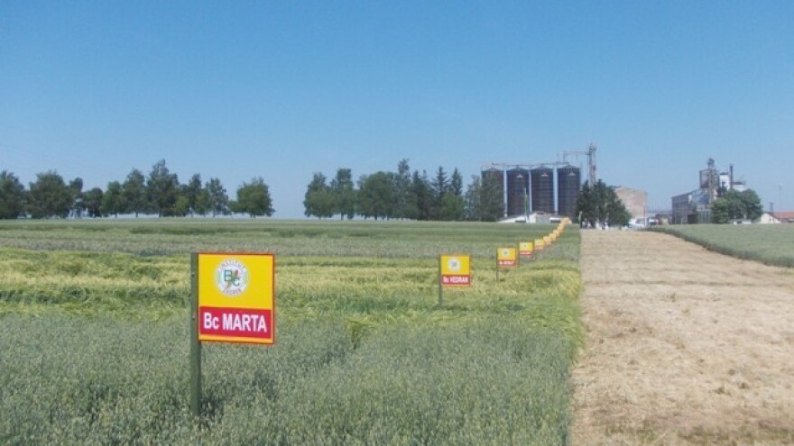 BC žita spremna na sve!