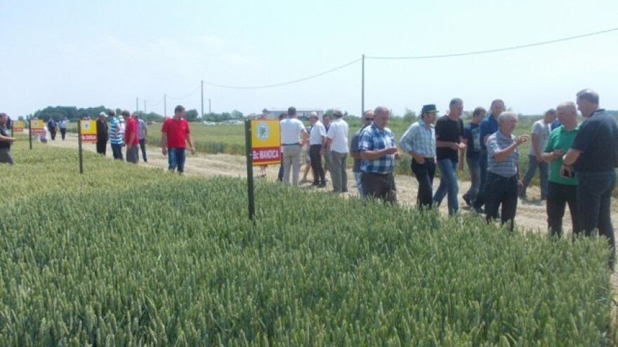 Na muci se junačke sorte poznaju!