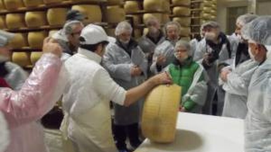 Država gradi mljekaru?!