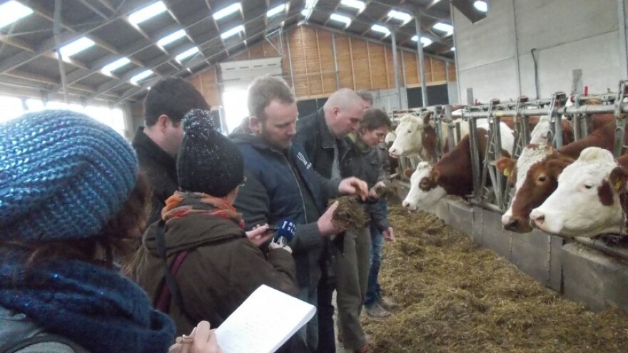 Cijeli ovaj kraj je jedna velika mliječna farma