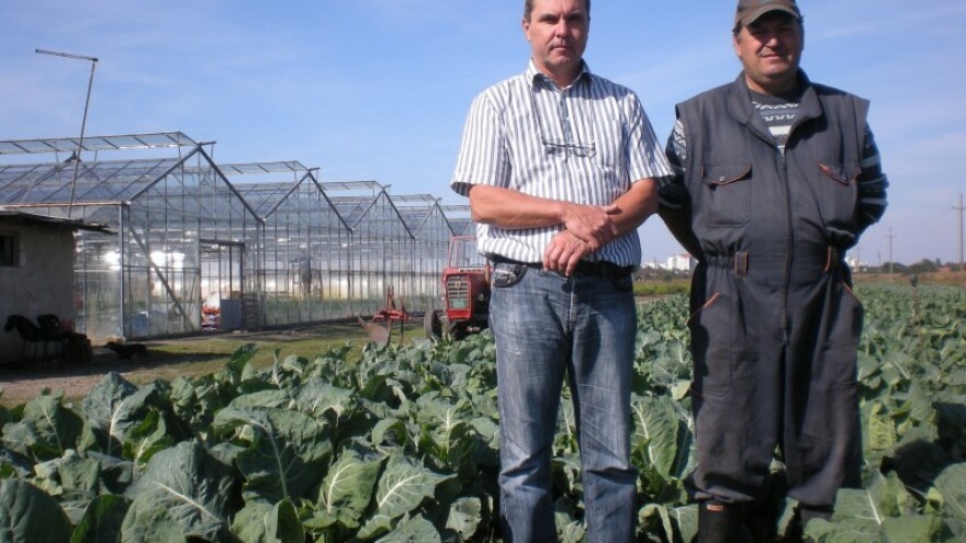 Povrtarima pomažu besplatnim bušenjem bunara