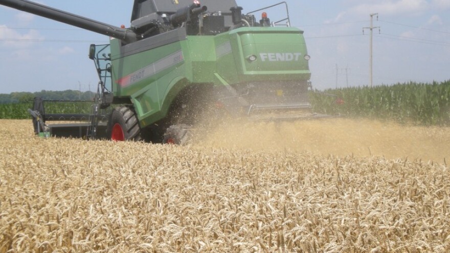 Da li je pšenica i dalje naš strateški proizvod?