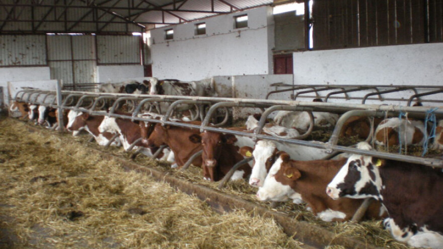 Dugoročni zakup državne zemlje za stočare