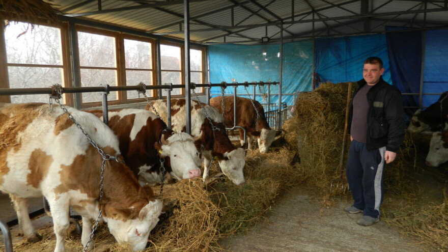 Saša Glišić: Povećali bismo broj goveda, ali nemamo sredstava