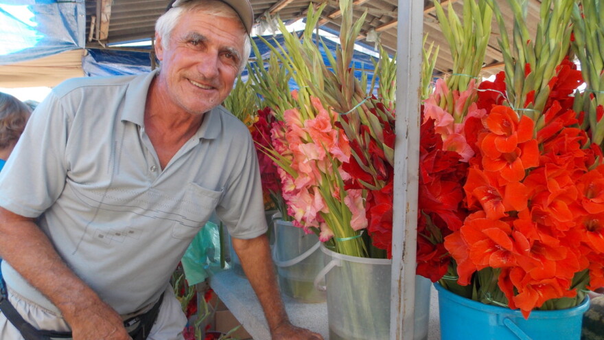 Uzgoj gladiola - svetlije ili tamnije, koje su manje zahtevne?
