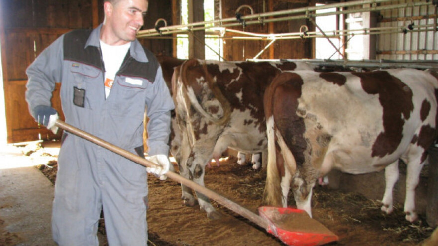 Dubrave – selo rekordera i šampiona