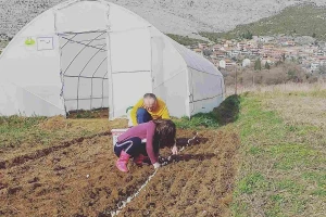 Iako početnici u proizvodnji, rasprodali sve količine povrća i planiraju novu sezonu